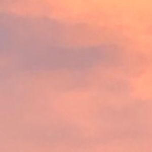 Meet your Posher, Liz